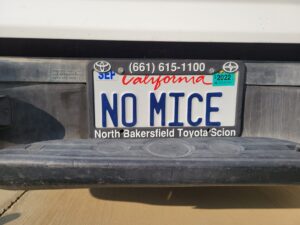 Vanity Plates Put Sprague’s Creativity on Display