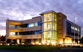 Three Strategies to Prevent Stinging Insects in Commercial Facilities
