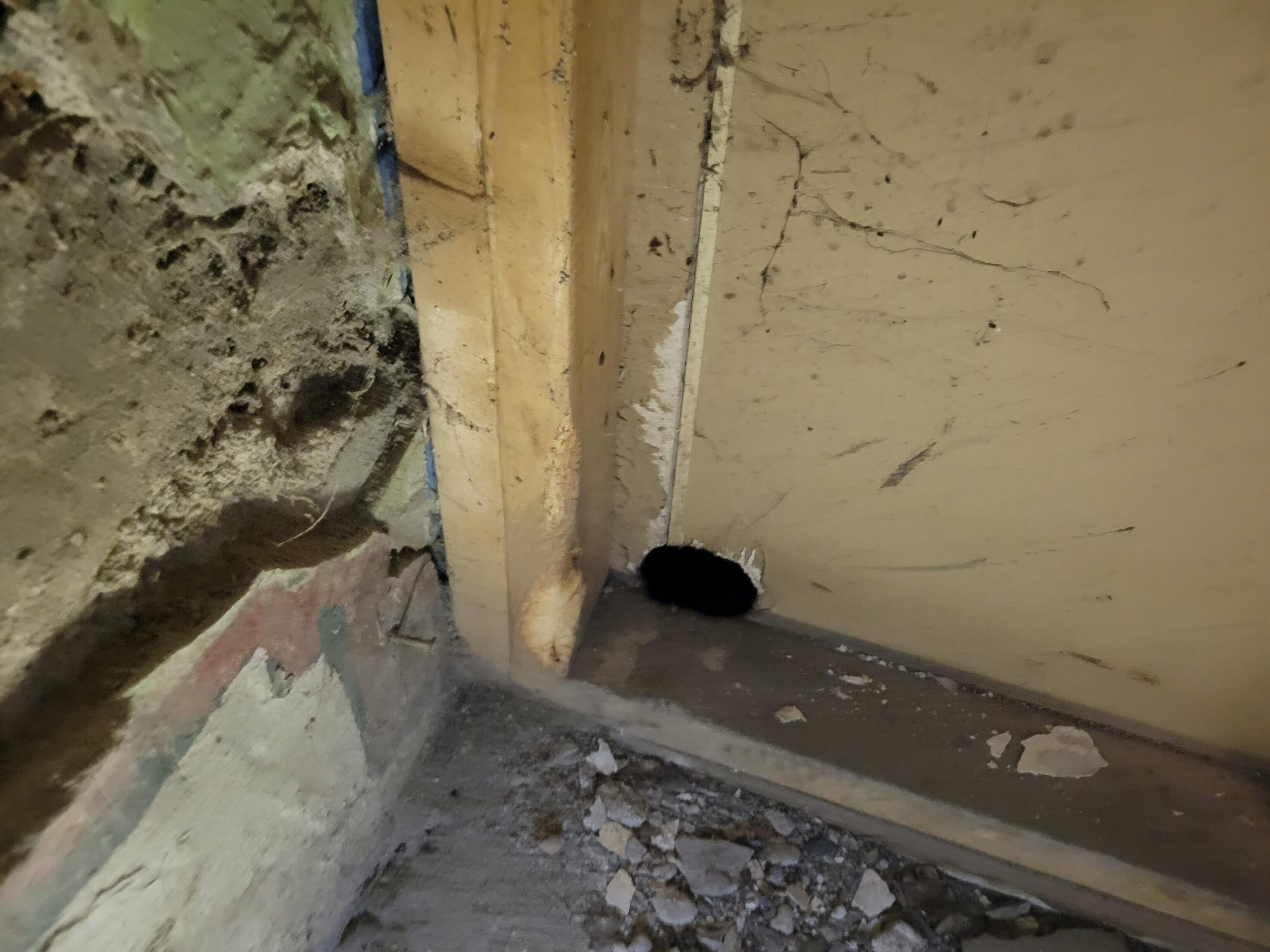 Exclusion The First Step in Pest Control Sprague Pest Solutions