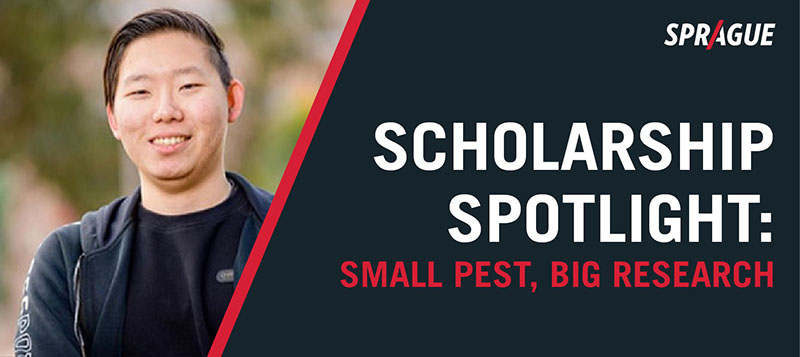 Sprague Announces 2025-2026 Endowment Scholarship Recipient Advancing Research on Cockroach Resistance