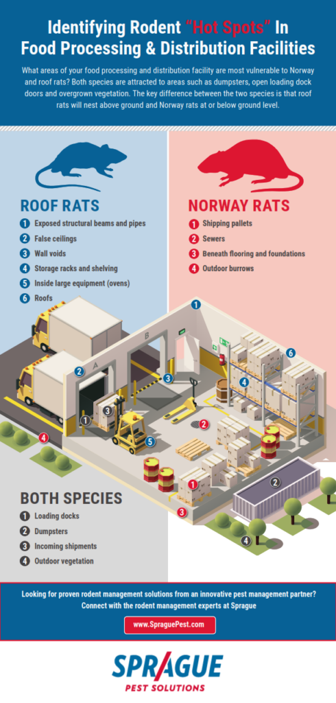 Rodent Hot Spots In Food Processing & Distribution Facilities - Sprague Pest