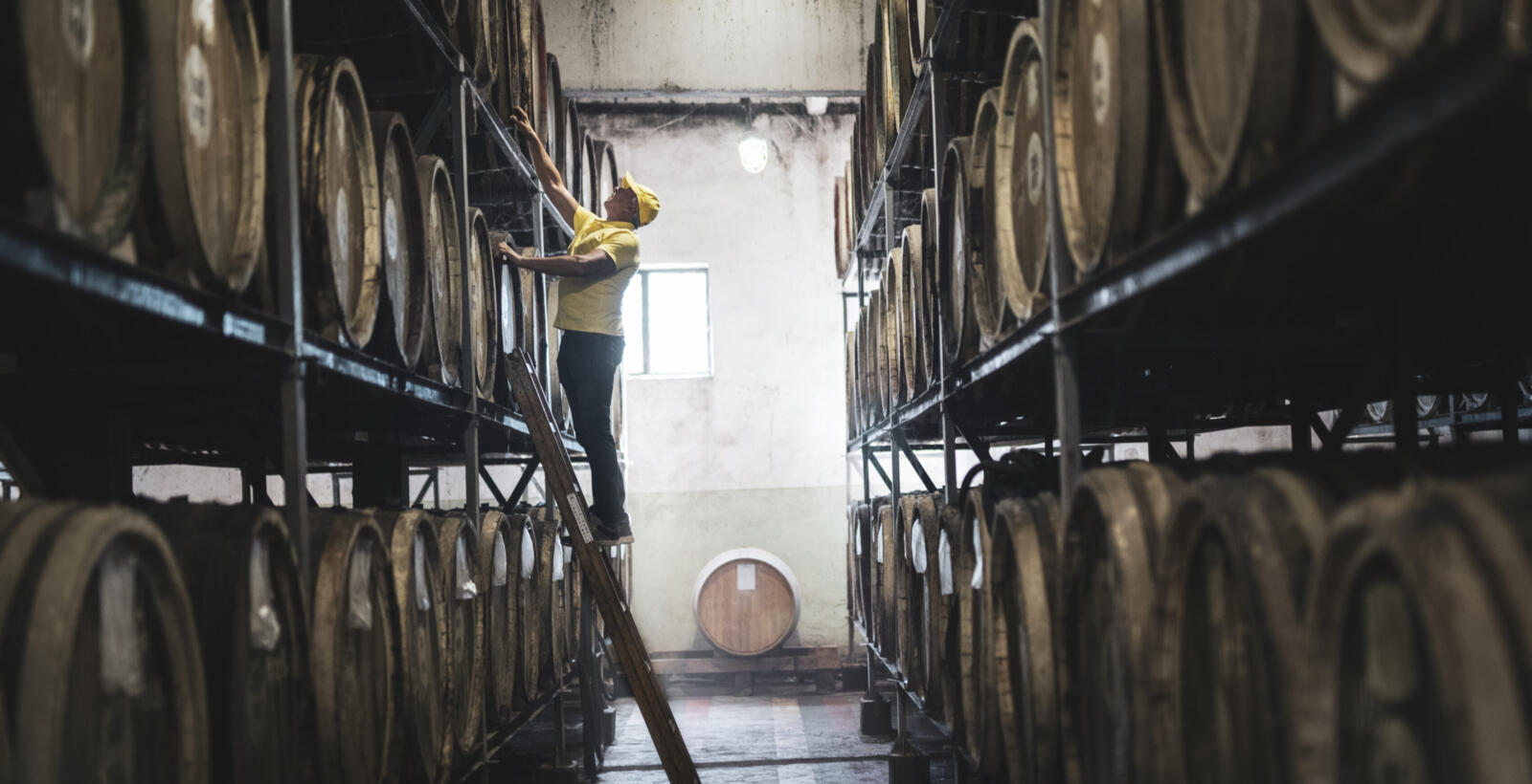 Pests Brew Up Problems for Beverage Facilities Sprague Pest Solutions