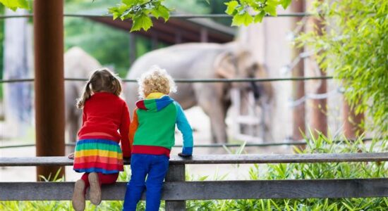 Guardians of the Zoo: Balancing Pest Management with Animal Welfare